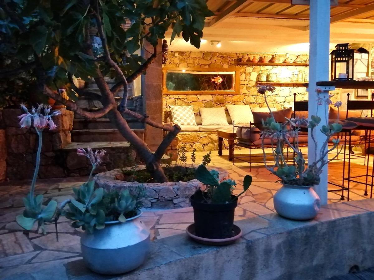A Chiosella Bed & Breakfast Corbara Ngoại thất bức ảnh