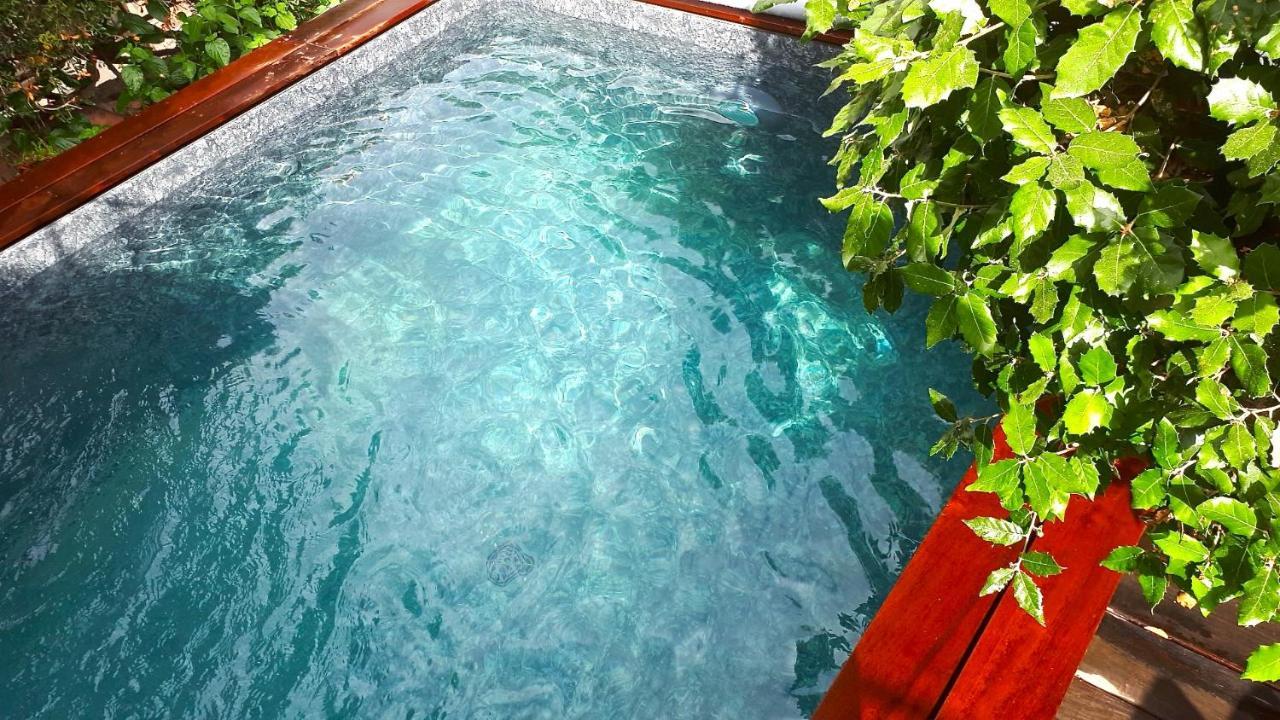 A Chiosella Bed & Breakfast Corbara Ngoại thất bức ảnh