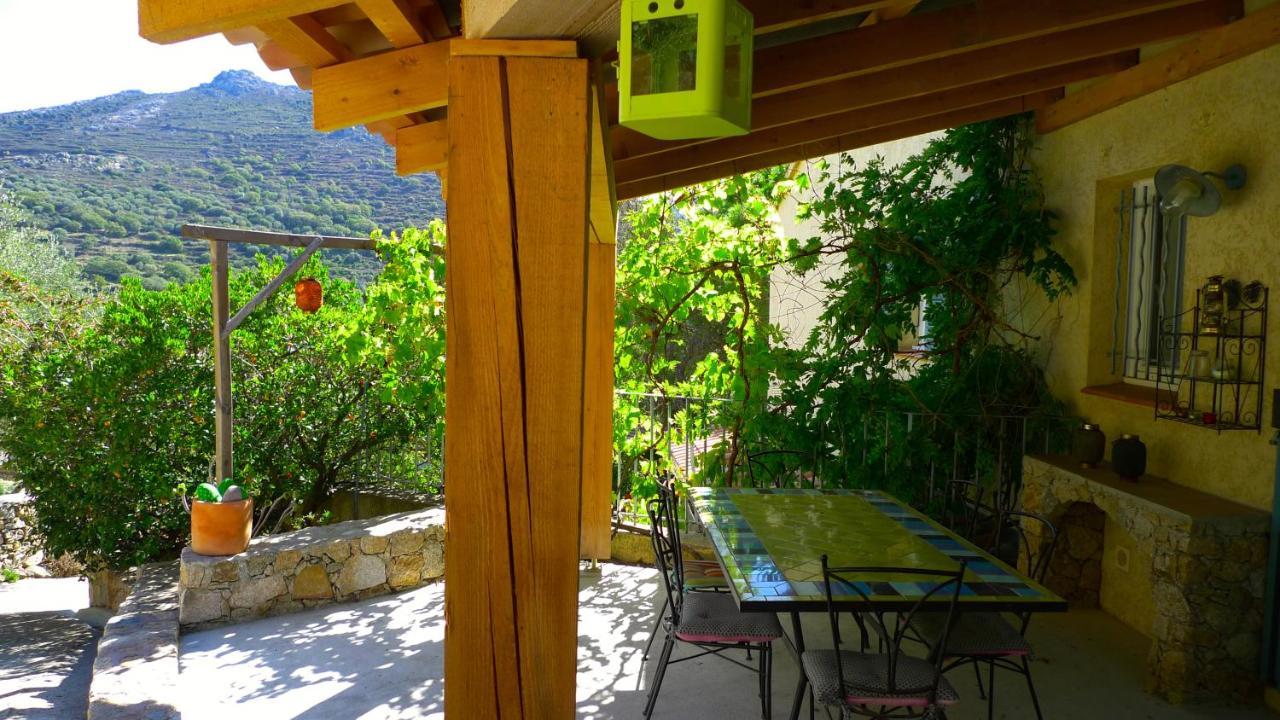 A Chiosella Bed & Breakfast Corbara Ngoại thất bức ảnh