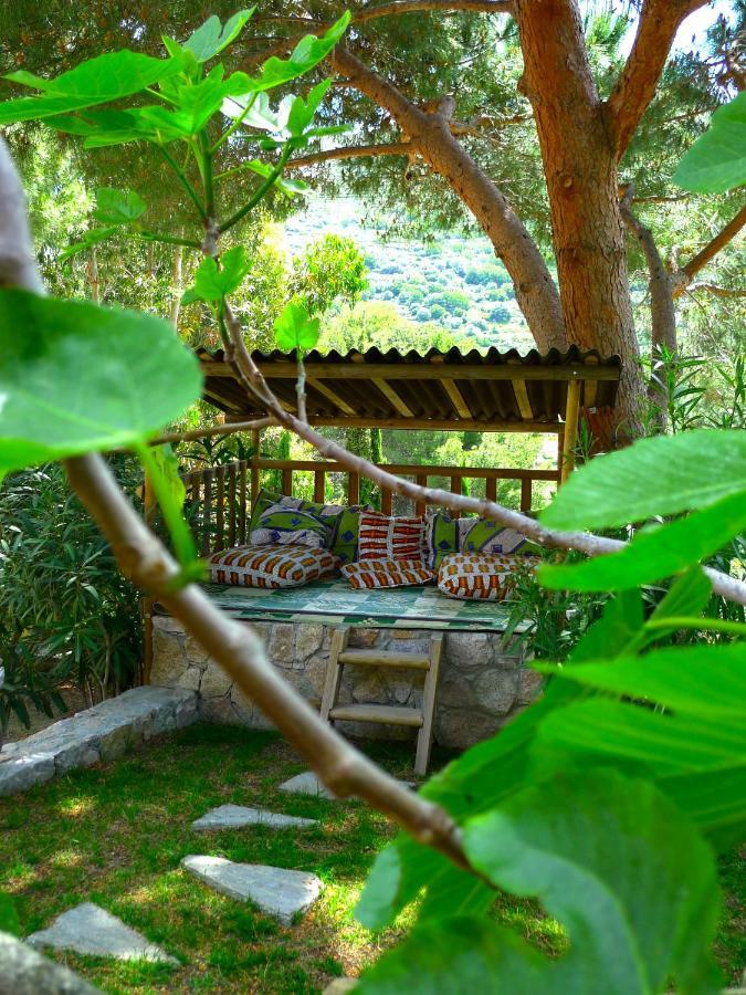 A Chiosella Bed & Breakfast Corbara Ngoại thất bức ảnh